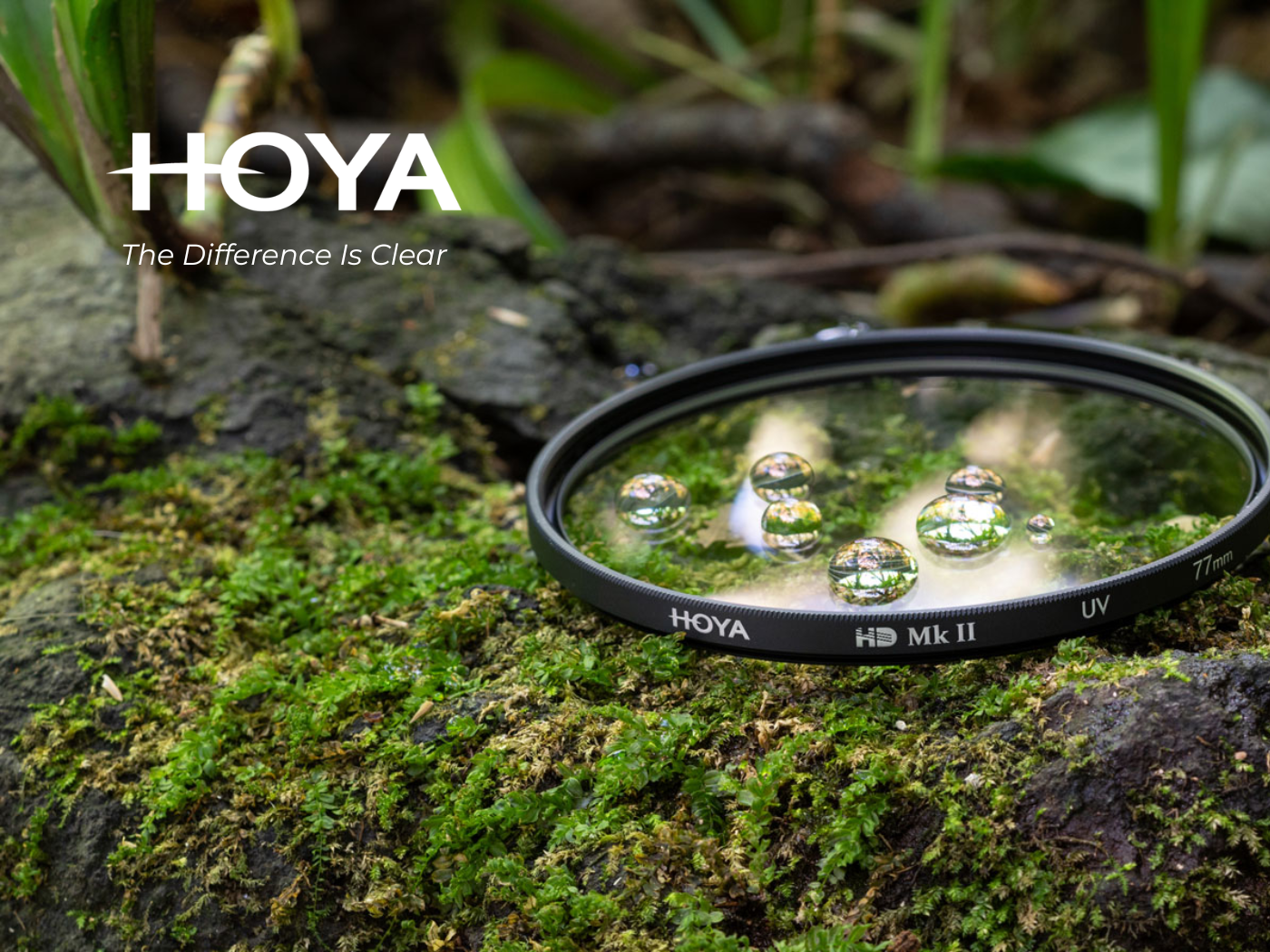 Hoya - official distributor